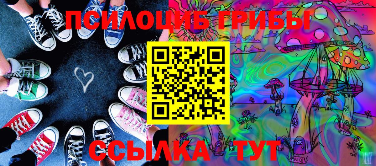 Галлюциногенные грибы Psilocybine cubensis  Вход с VPN  Майский 